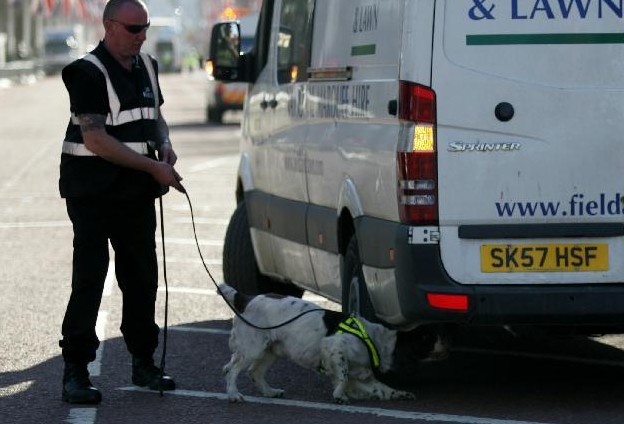 倫敦馬拉松賽采用警犬與安檢門(mén)等設備共同防御不法活動(dòng)[圖]