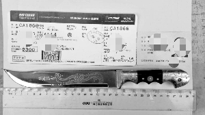 安檢門(mén)火眼金睛 旅客攜匕首過(guò)登機被拘五天[圖]